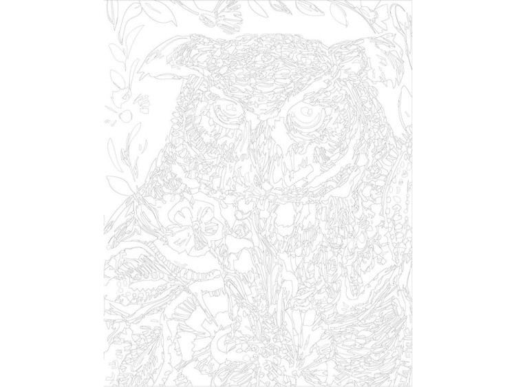 Картина по номерам «Узорчатая сова» — картинка 3