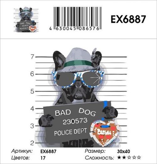 Картина по номерам «Преступник» — картинка 2