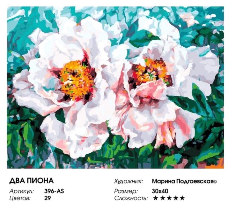 Картина по номерам «Два пиона» — картинка 2