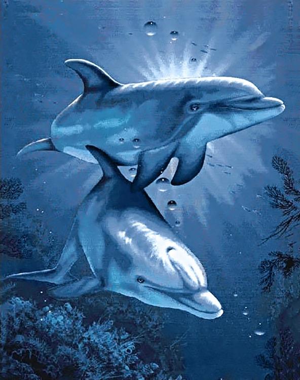 Алмазная вышивка «Свидание дельфинов»