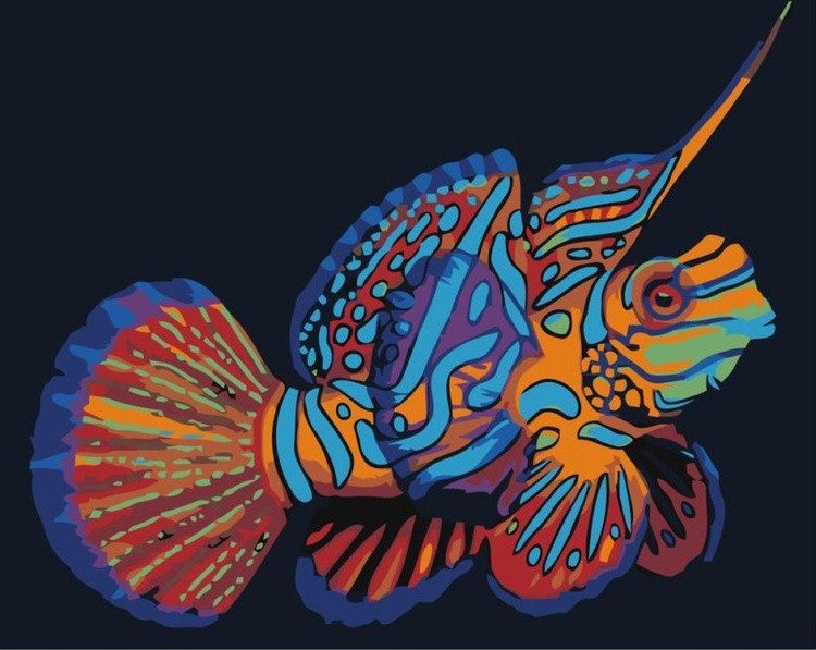 Картина по номерам «Радужная рыба»