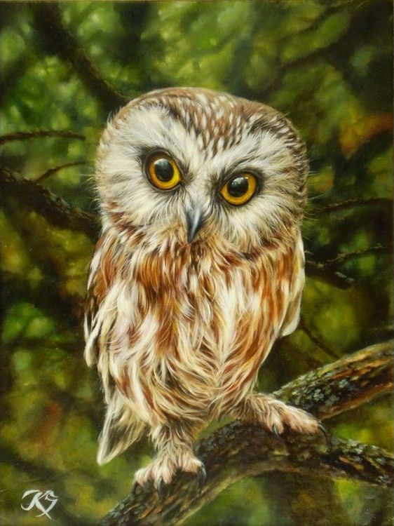 Картина по номерам «Маленький совенок» — картинка 2