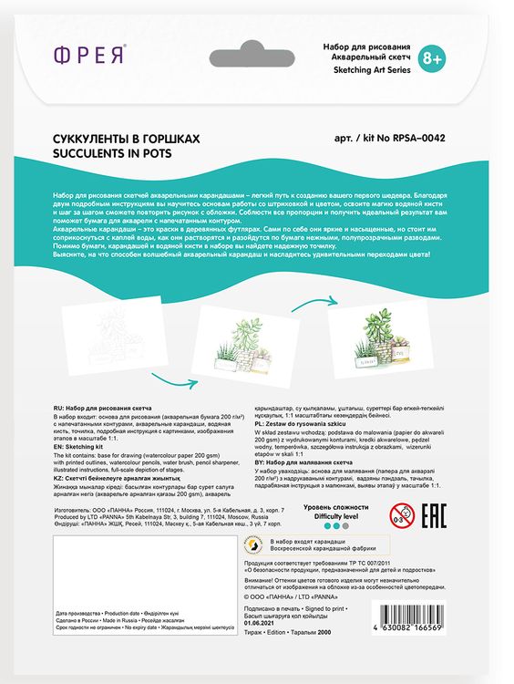 Скетч для раскрашивания акварельными карандашами «Суккуленты в горшках» — картинка 4
