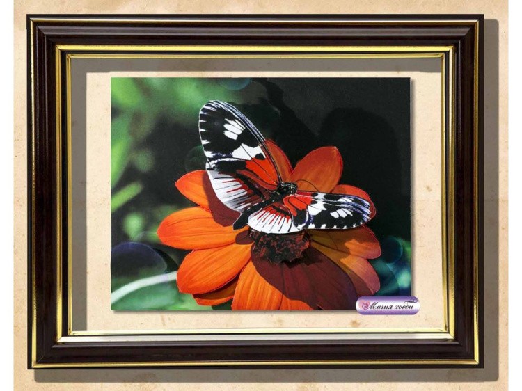 Папертоль «Бабочка» — картинка 3