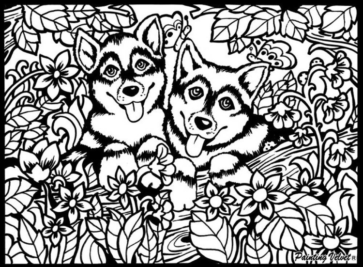 Коробка-раскраска «Собаки» + 10 маркеров — картинка 4