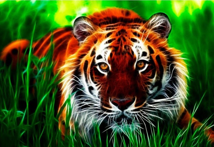Алмазная вышивка «Тигр в траве»