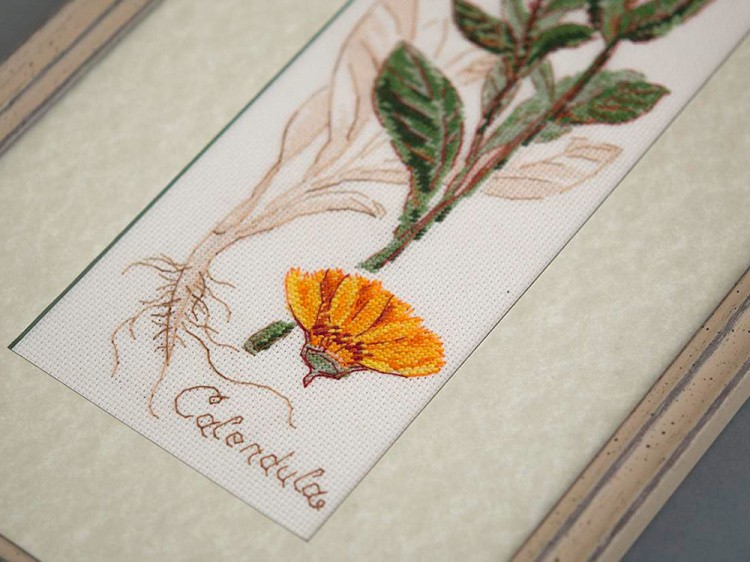 Набор для вышивания «Календула» — картинка 4