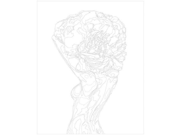 Картина по номерам «Цветочная голова 7» — картинка 3