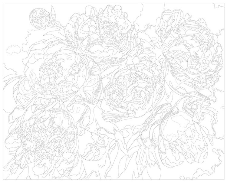 Картина по номерам «Цветы: Грациозные пионы» — картинка 3