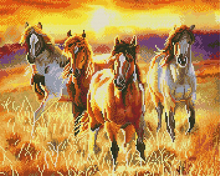 Алмазная вышивка «Лошади в поле»