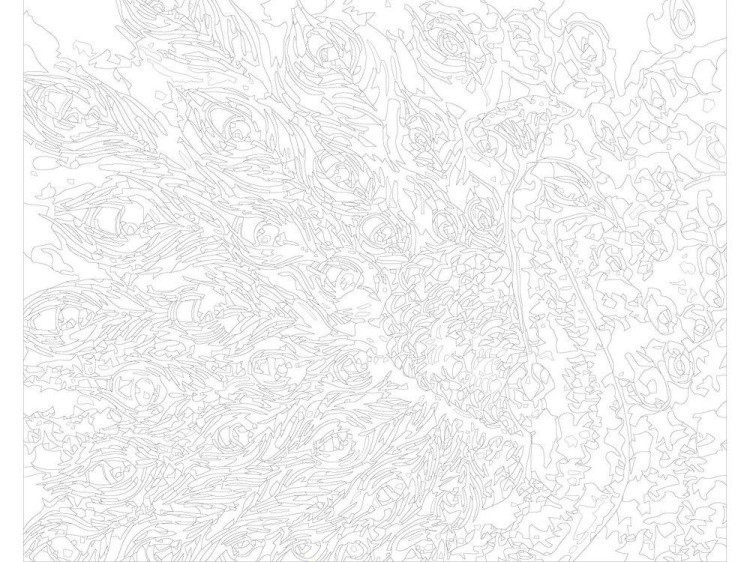 Картина по номерам «Глазастый павлин» — картинка 3