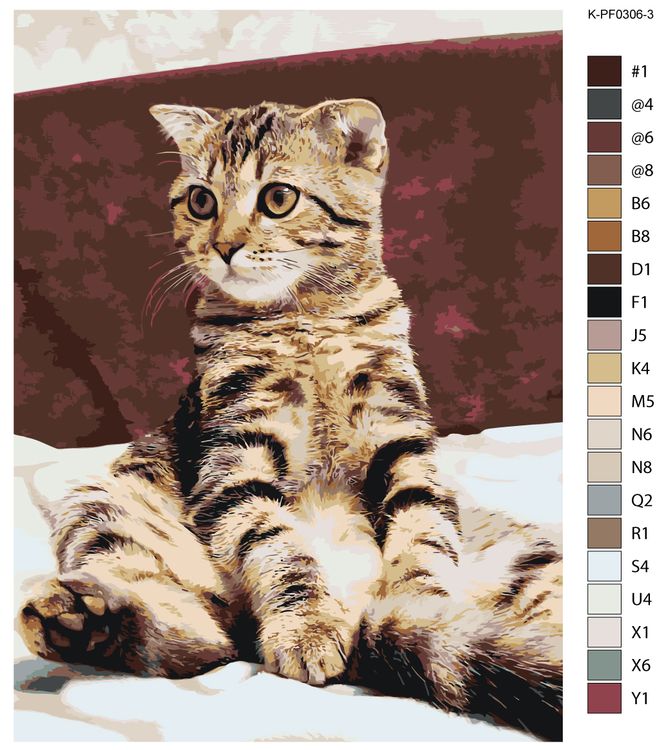 Картина по номерам «Котик» — картинка 2