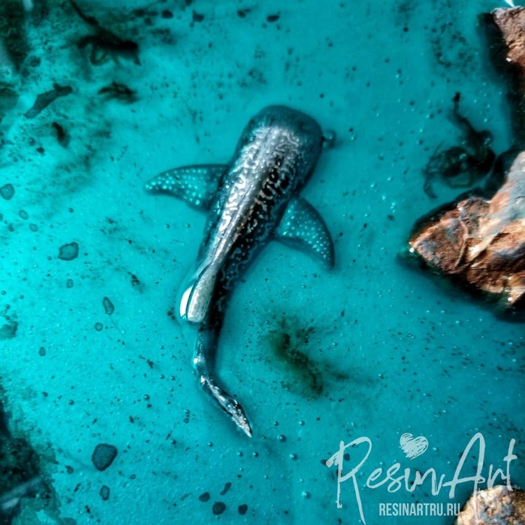 Китовая акула 3D small - Силиконовый молд, ResinArt — картинка 4