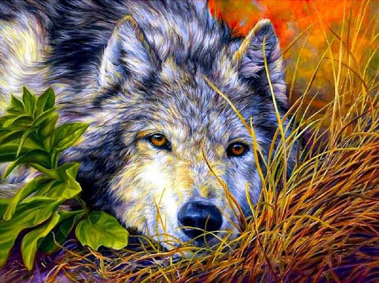 Алмазная вышивка «Лесной волк»