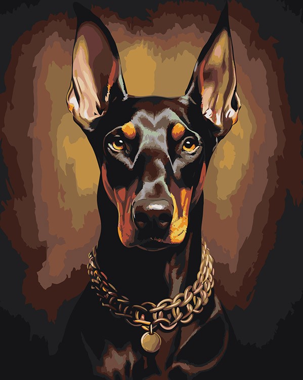 Картина по номерам «Собака доберман с цепью на шее»