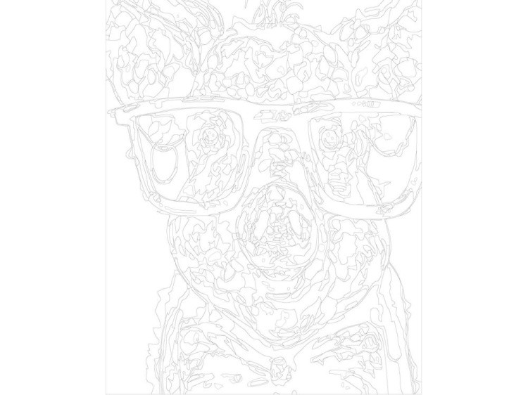 Картина по номерам «Поросёнок-ботаник» — картинка 3