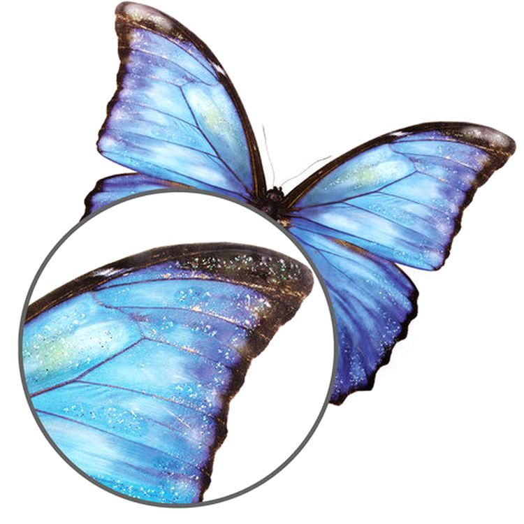 Украшение для окон и стекла «Бабочки 3» — картинка 4