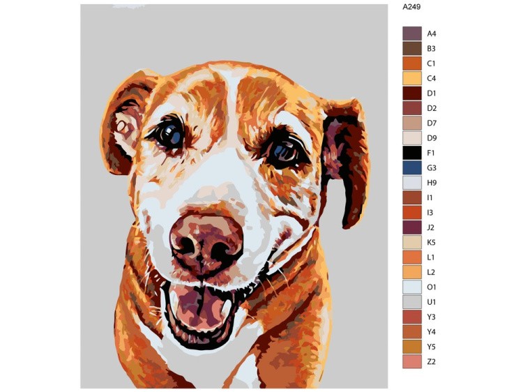 Картина по номерам «Симба» — картинка 2