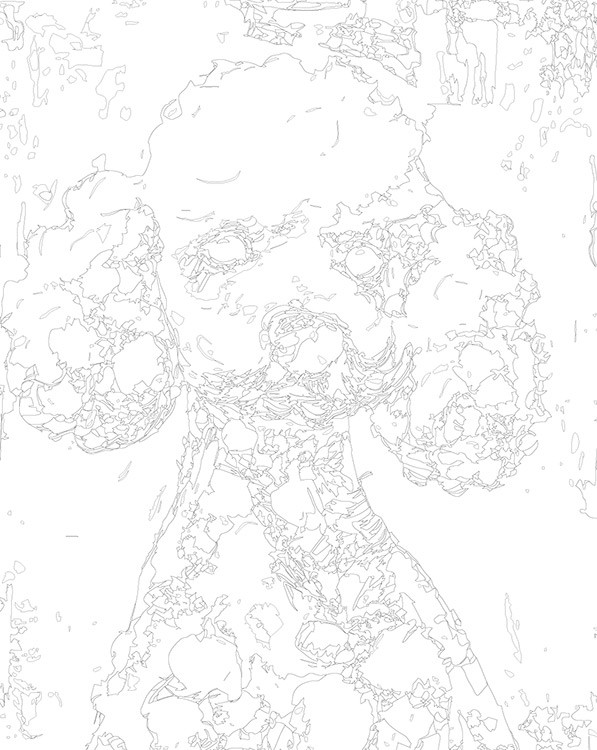 Картина по номерам «Собака пудель щенок арт 40х50» — картинка 3