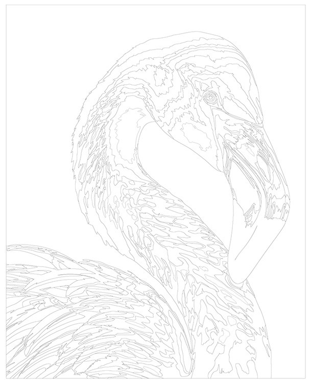 Картина по номерам «Грациозный фламинго» — картинка 3