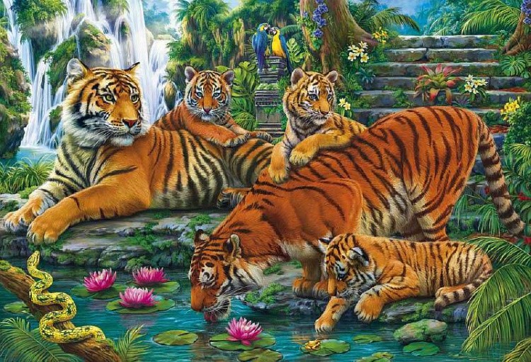 Алмазная вышивка «Семья тигров в джунглях»