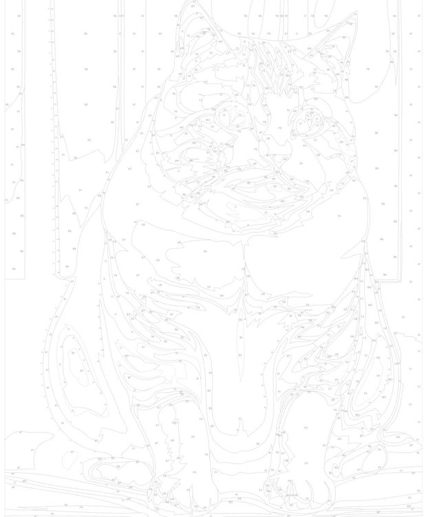 Картина по номерам «Толстый кот» — картинка 3