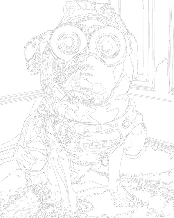 Картина по номерам «Миньоны собака, мульт Гадкий я 40х50» — картинка 3