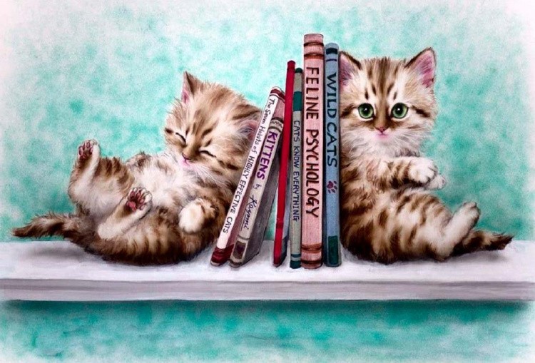 Алмазная вышивка «Котята и книги»