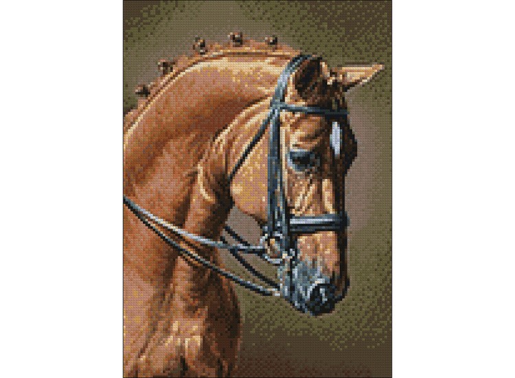 Алмазная вышивка «Конкур» — картинка 2