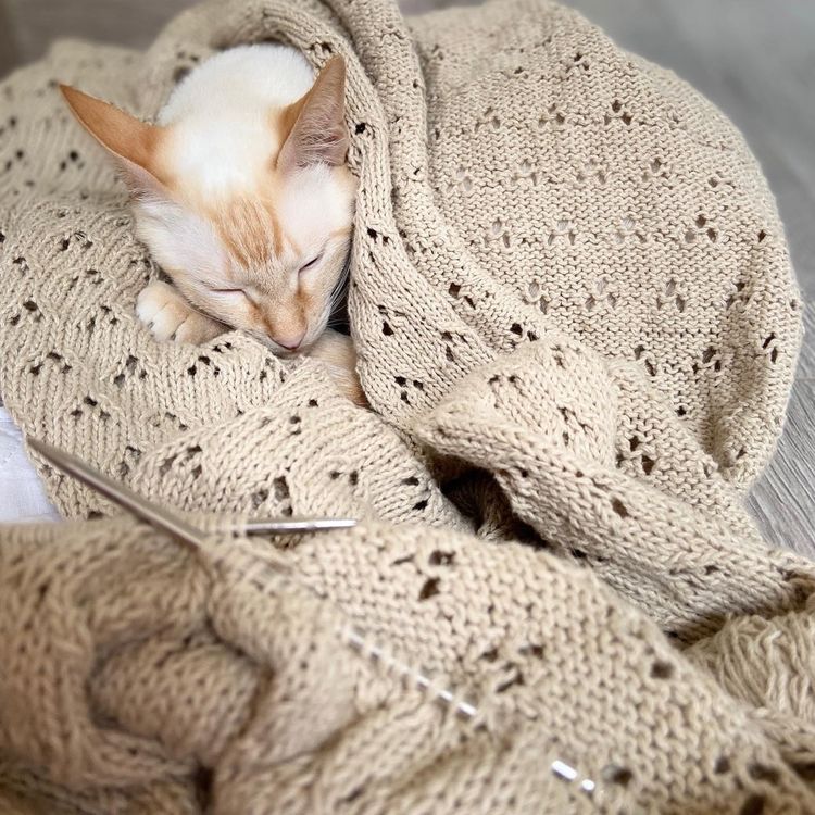 Пряжа Камтекс Ананасовая (178), темно-сиреневый, 5 шт. по 100 г — картинка 2