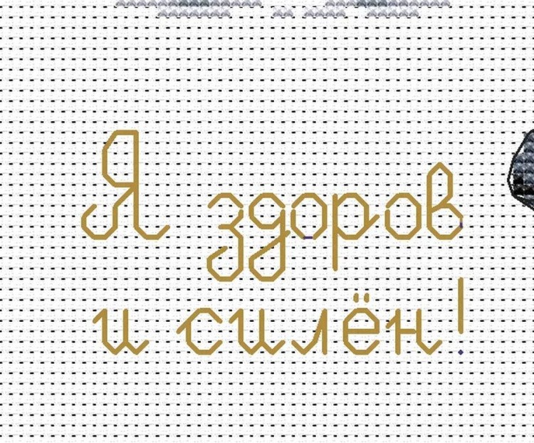 Набор для вышивания «Bodybuilding. Я здоров и силен» — картинка 8