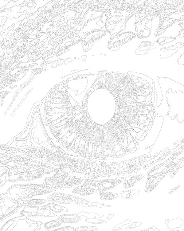 Картина по номерам «Глаз зеленого дракона 2» — картинка 3