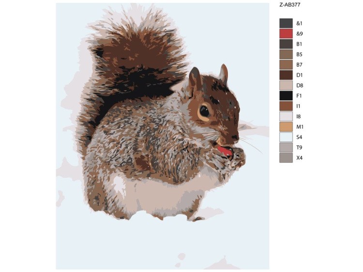 Картина по номерам «Белка» — картинка 2