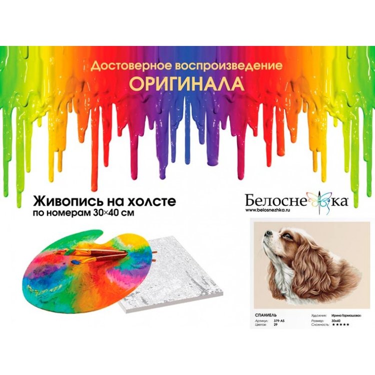 Картина по номерам «Спаниель» — картинка 4