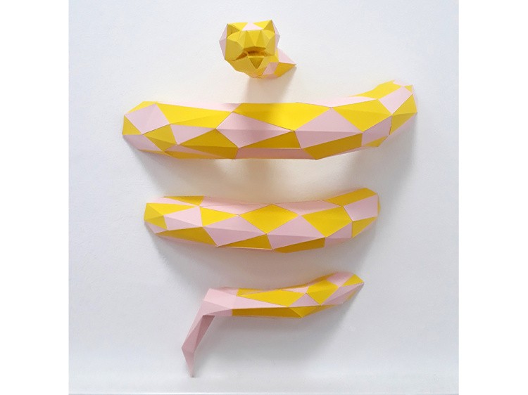 Бумажная модель для склеивания трофей «Анаконда» — картинка 3