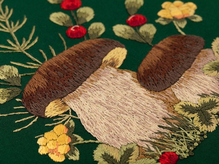 Набор для вышивания «Грибы. Белые» — картинка 2