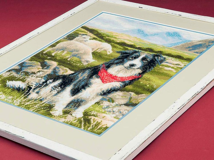 Набор для вышивания «Бордер-колли» — картинка 4