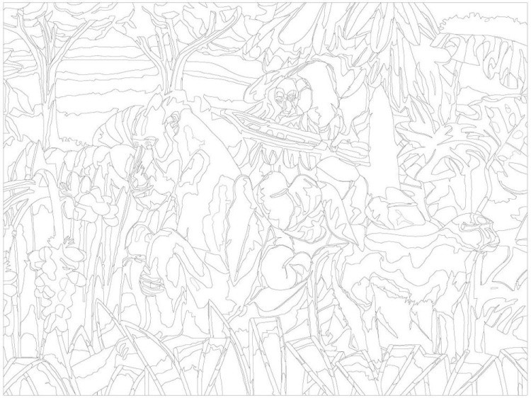 Картина по номерам «Обезьяны» — картинка 3