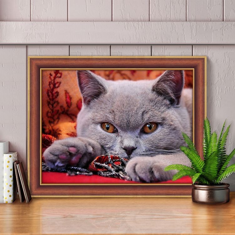 Алмазная вышивка «Королевский британец» — картинка 2