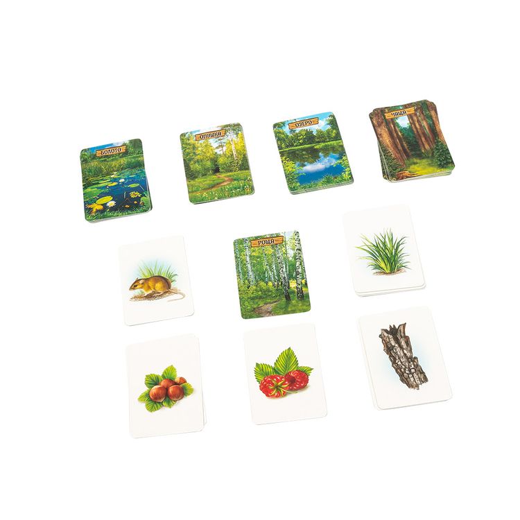 Настольная игра «Лесные истории» — картинка 3