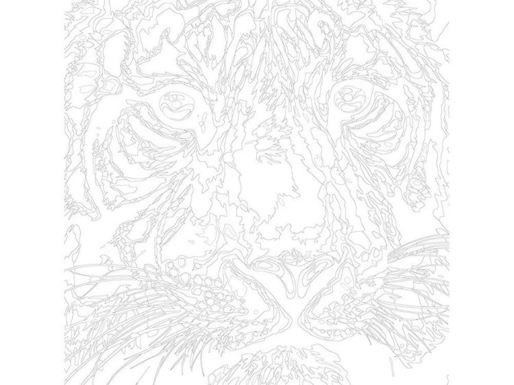 Картина по номерам «Белый тигр» — картинка 3