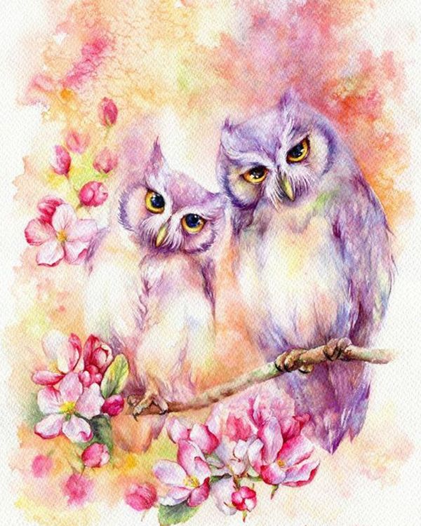 Алмазная вышивка «Акварельные совы» — картинка 2