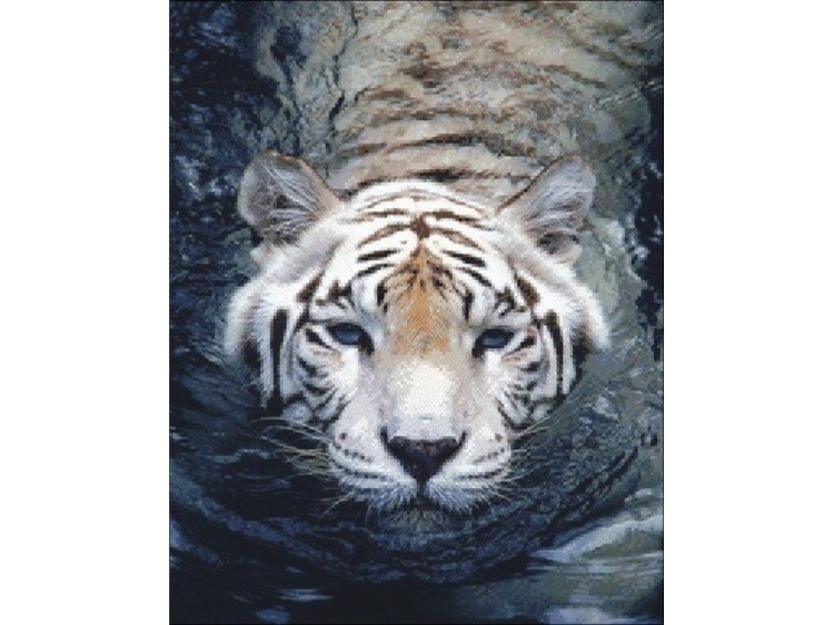 Алмазная вышивка «Тигр в воде» — картинка 2