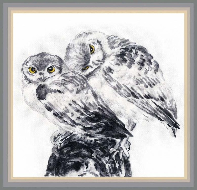 Набор для вышивания «Влюблённые совики» — картинка 2
