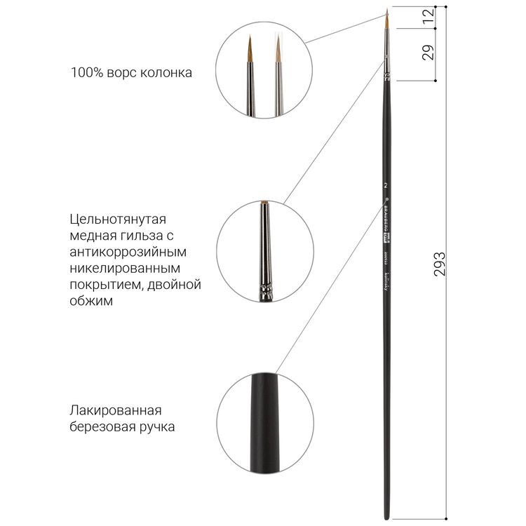 Кисть художественная профессиональная Art Classic, колонок, круглая, № 2, длинная ручка, Brauberg — картинка 4