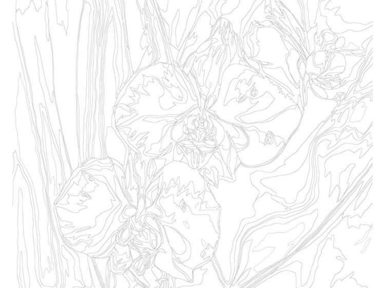 Картина по номерам «Розовые орхидеи» — картинка 3