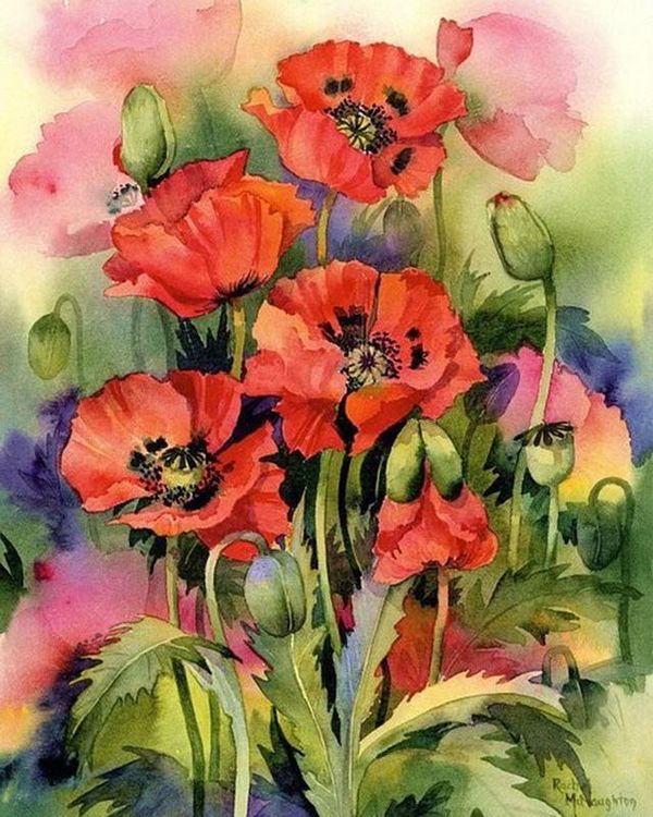 Алмазная вышивка «Маки» — картинка 2