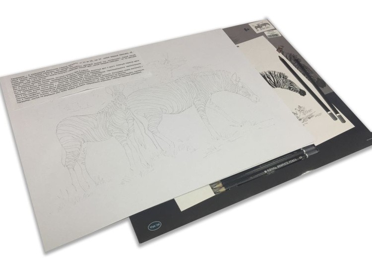 Набор для скетчинга «Бейсбол» — картинка 4