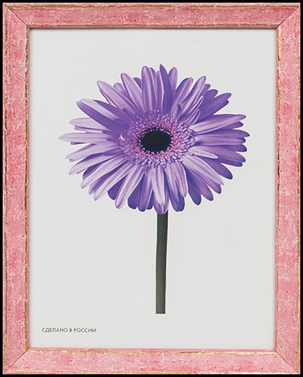 Рамка для картин «Viola», 30x40 см — картинка 5