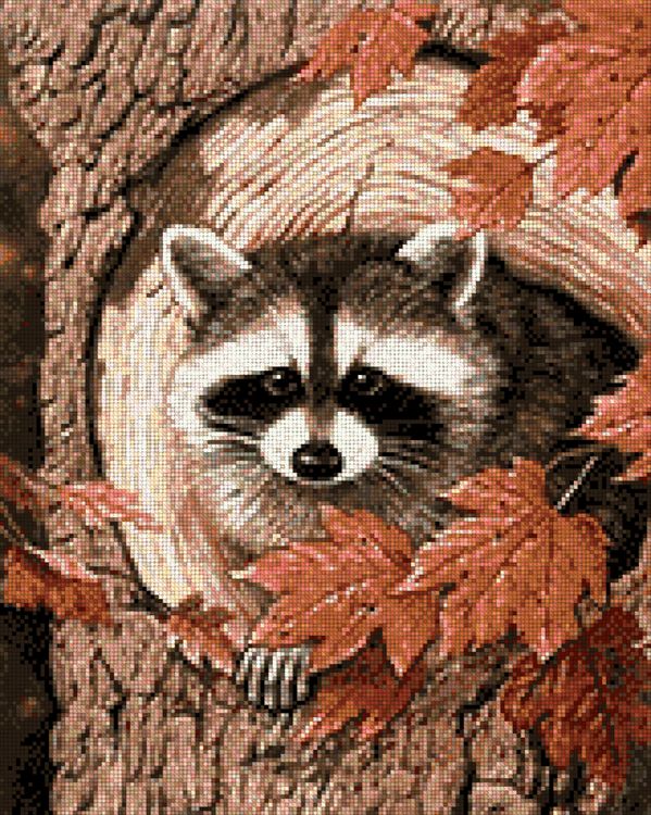 Алмазная вышивка «Енот на клене» — картинка 3